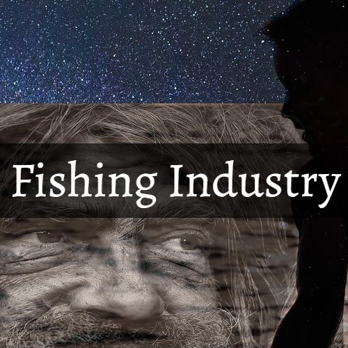 Illustration of the pilchard fishery at work.