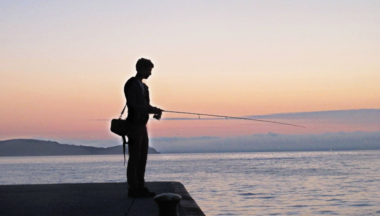 harbour fishing secrets