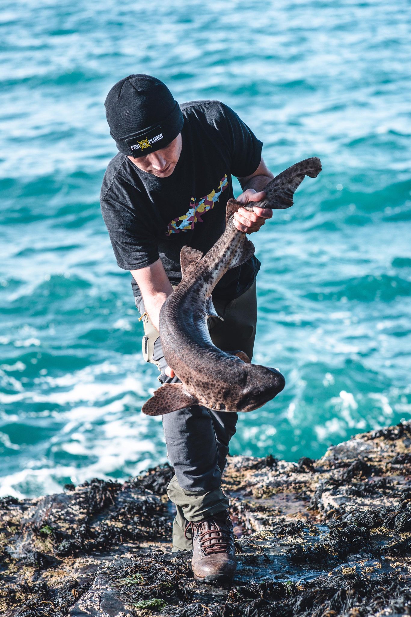 Catching Dogfish & Bull Huss An Anglers Species Guide Mevagissey