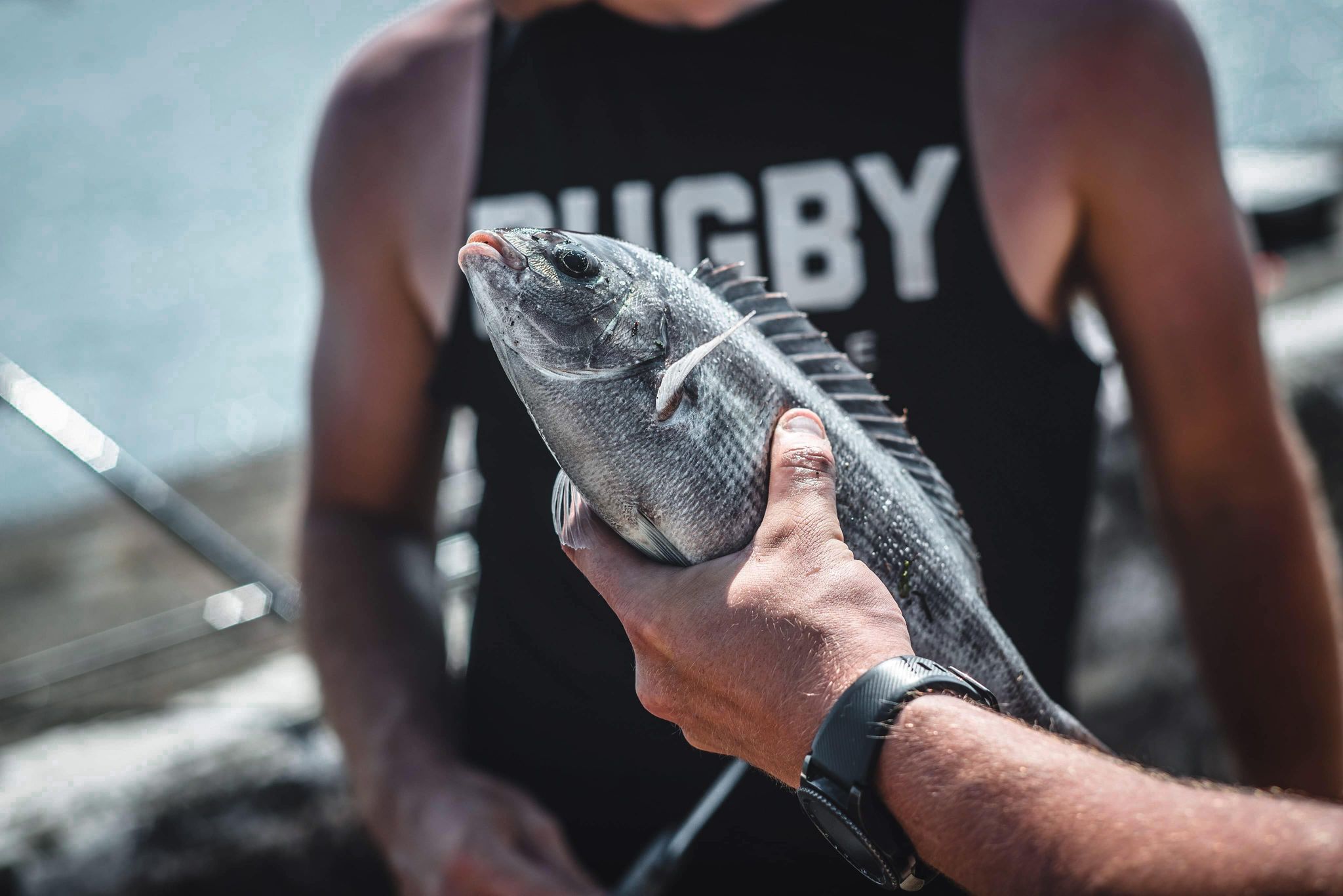 Bream Fishing UK Best Baits, Lures & Tactics