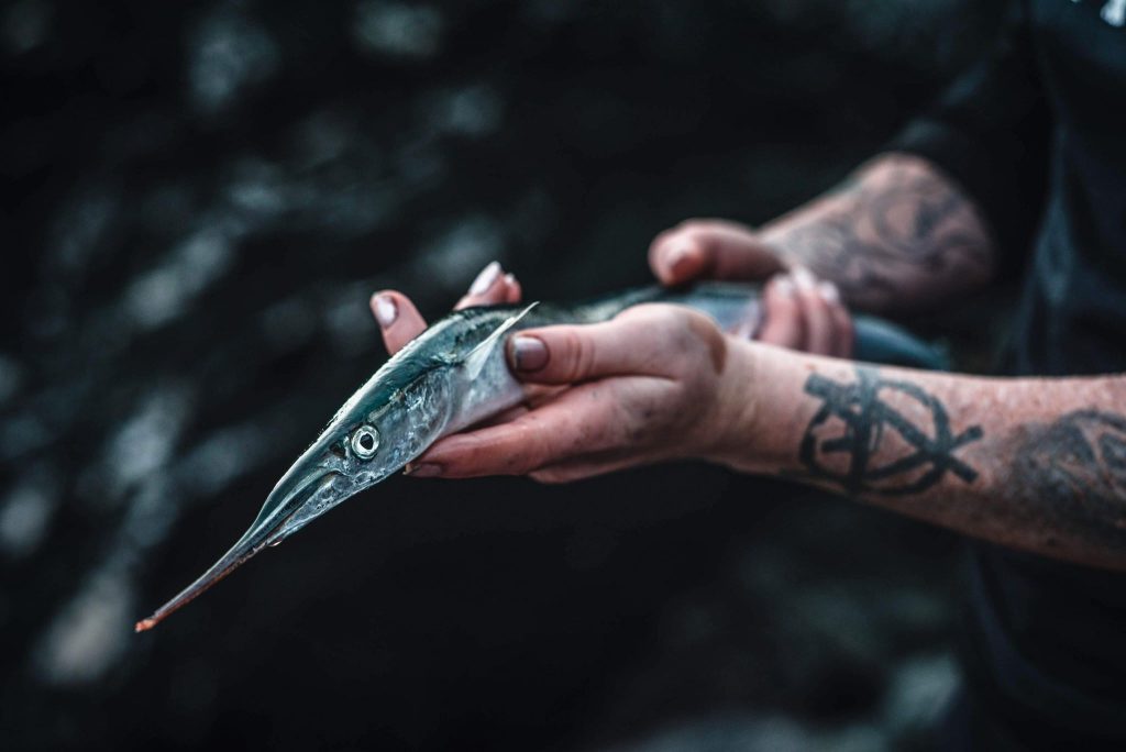 gar